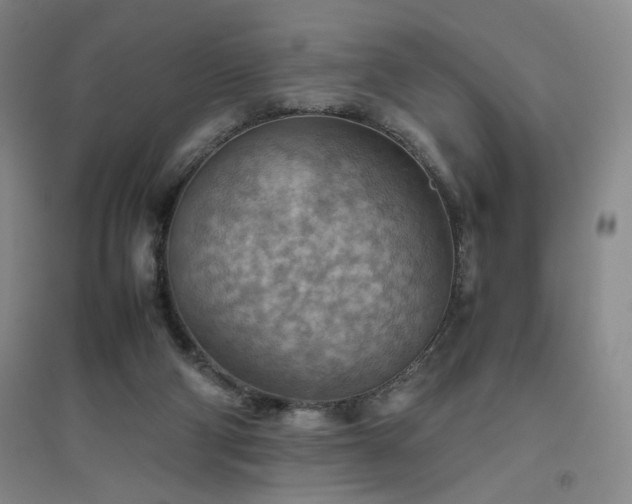 X0000094800114200711161507