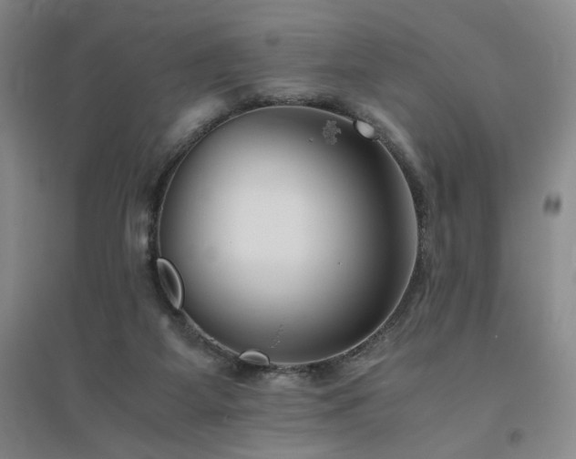 X0000094800115200711161507