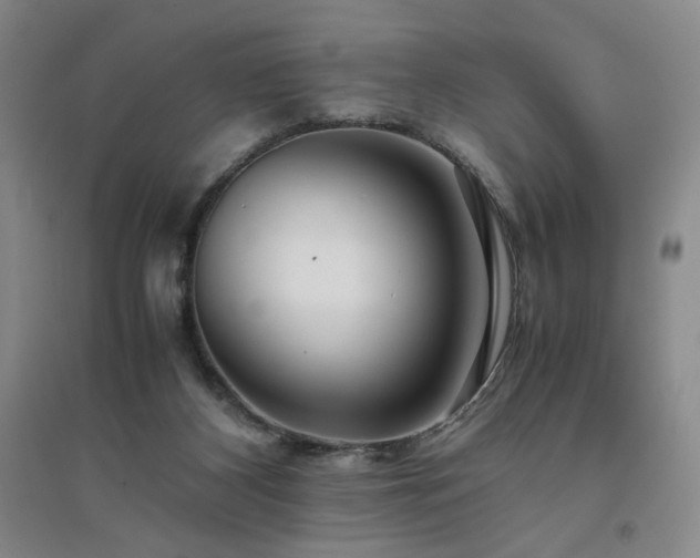 X0000094800116200711161507