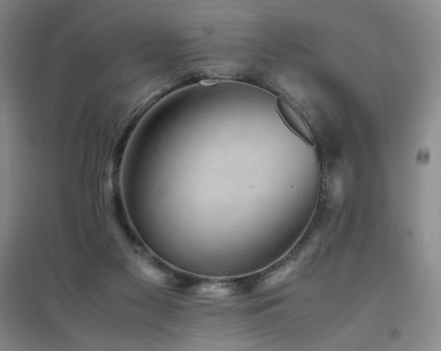 X0000094800117200711161507