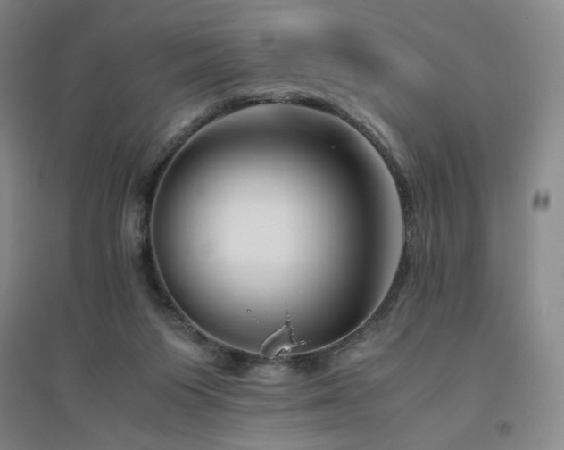 X0000094800119200711161507