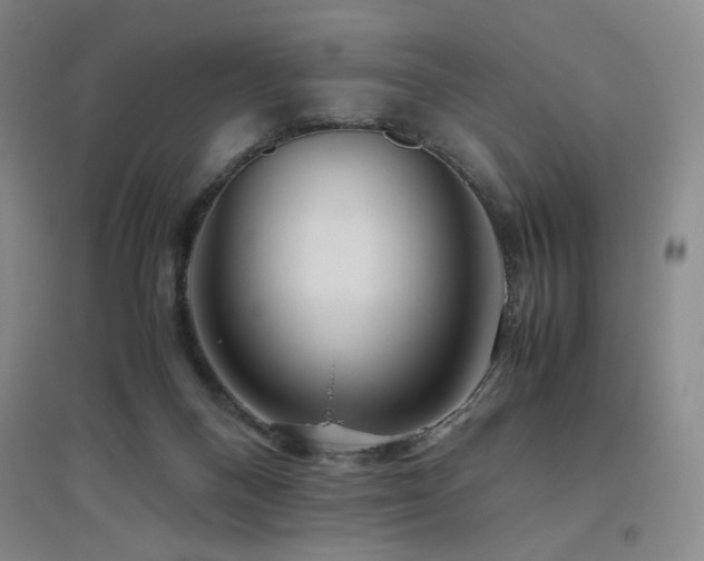 X0000094800120200711161507