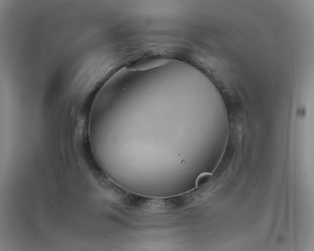 X0000094800123200711161507