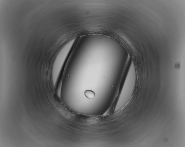 X0000094800124200711161507