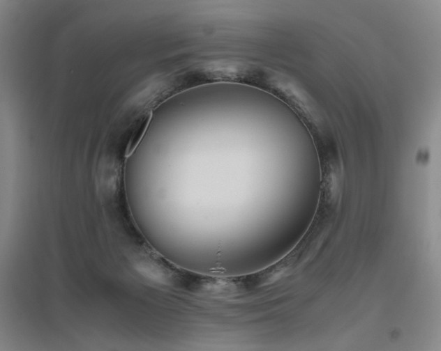X0000094800125200711161507