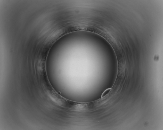 X0000094800126200711161507