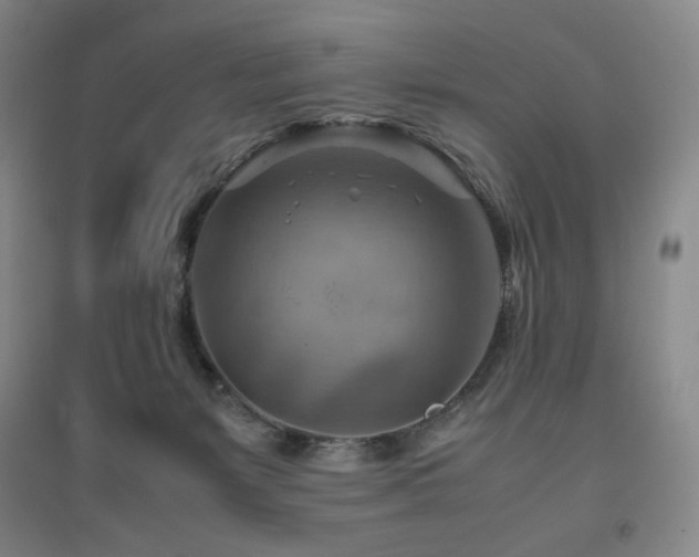 X0000094800127200711161507