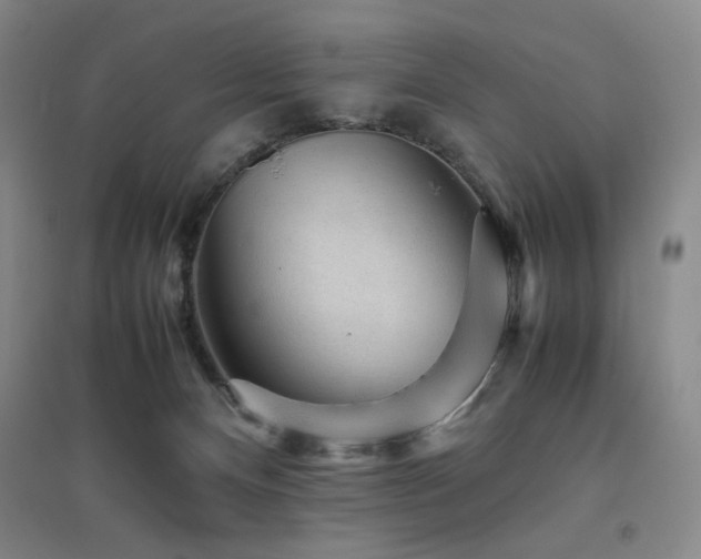 X0000094800128200711161507