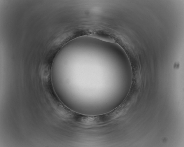 X0000094800129200711161507