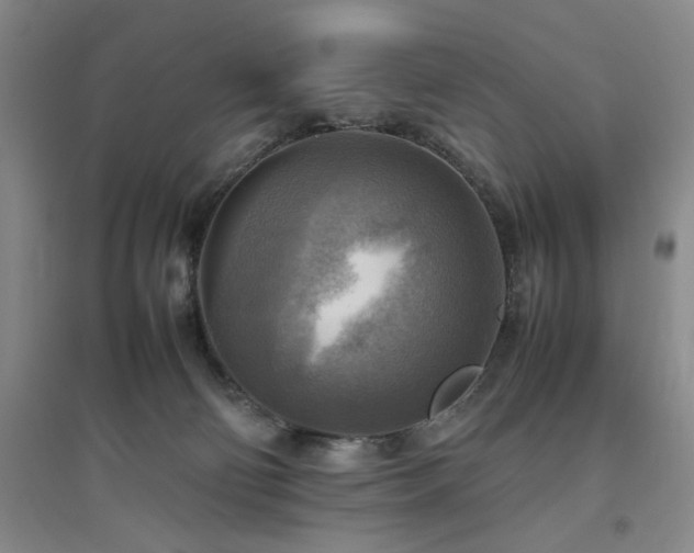 X0000094800130200711161507