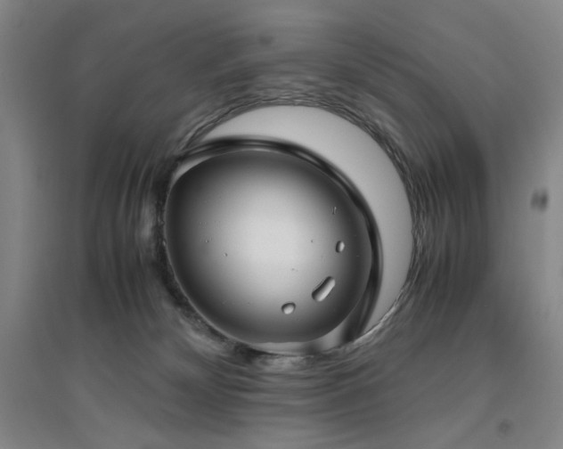 X0000094800132200711161507