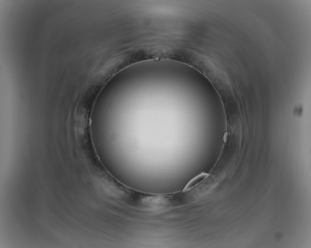 X0000094800133200711161507