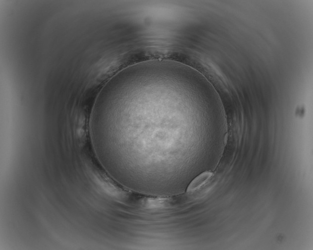 X0000094800134200711161507