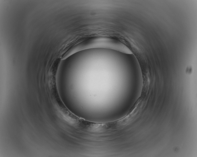 X0000094800136200711161507