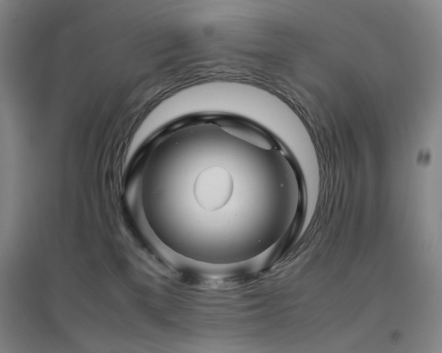 X0000094800137200711161507