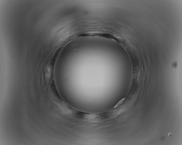 X0000094800139200711161507