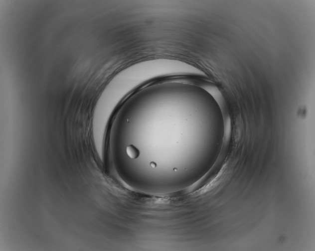 X0000094800140200711161507
