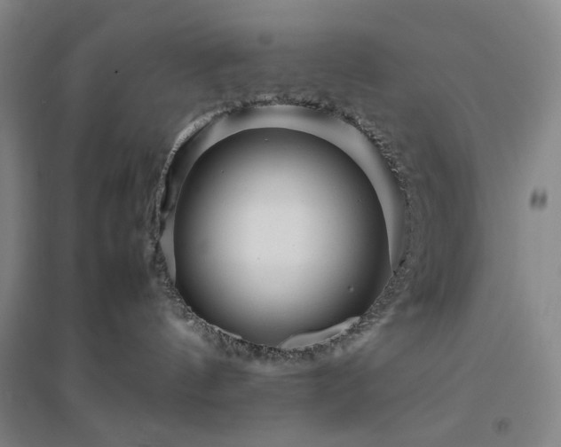 X0000094800144200711161507