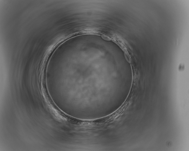 X0000094800145200711161506
