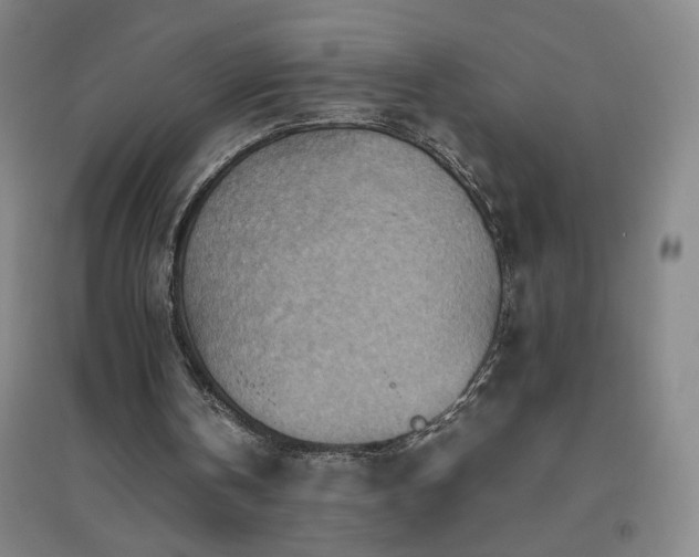 X0000094800146200711161506