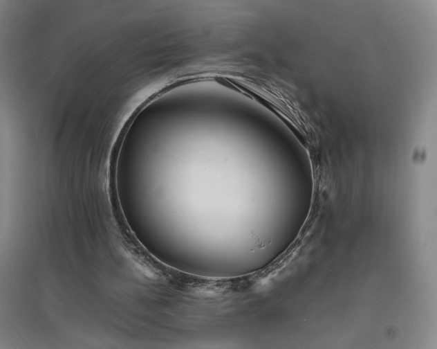 X0000094800148200711161506
