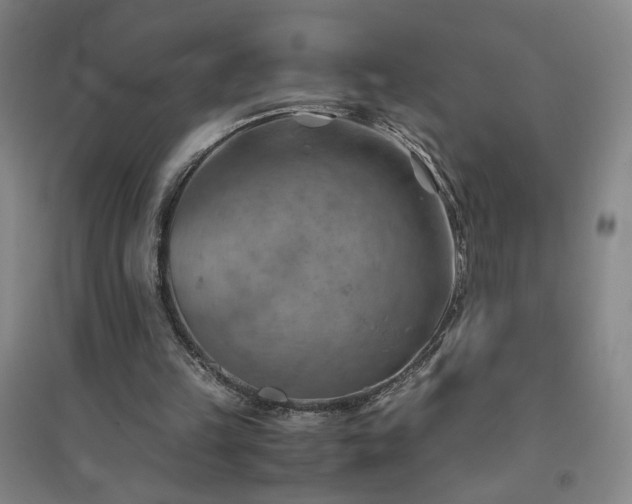 X0000094800149200711161506