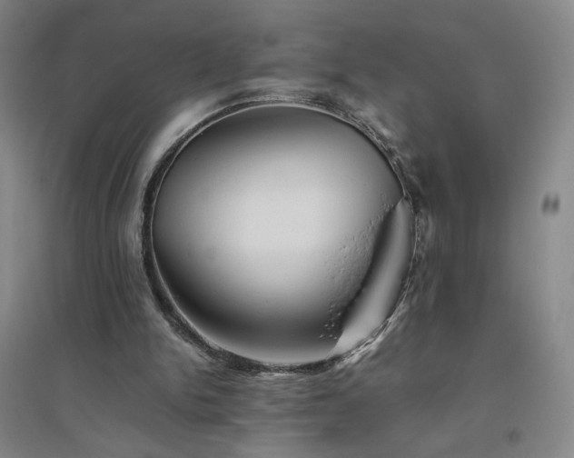 X0000094800150200711161506