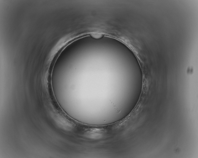 X0000094800151200711161506