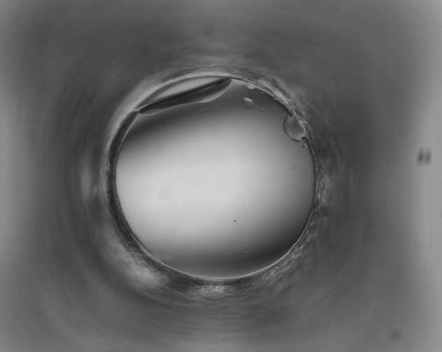 X0000094800152200711161506