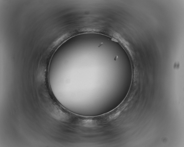 X0000094800153200711161506