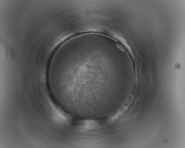 X0000094800154200711161506
