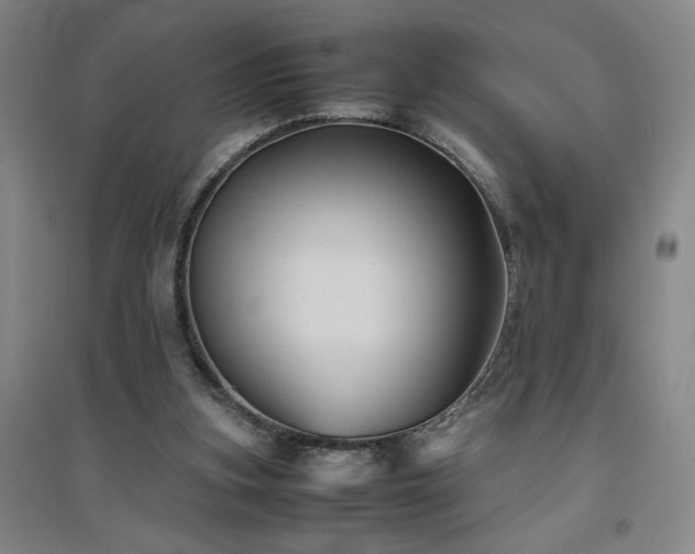 X0000094800155200711161506