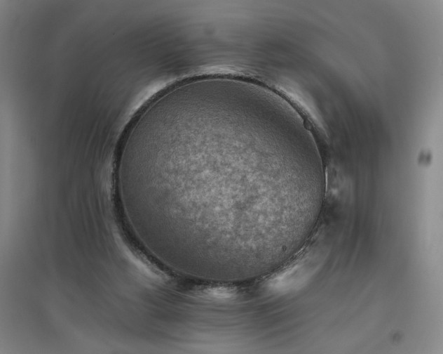 X0000094800156200711161506