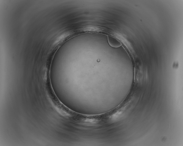 X0000094800157200711161506