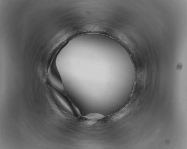 X0000094800158200711161506