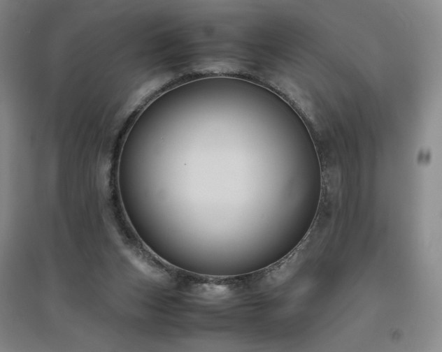X0000094800159200711161506