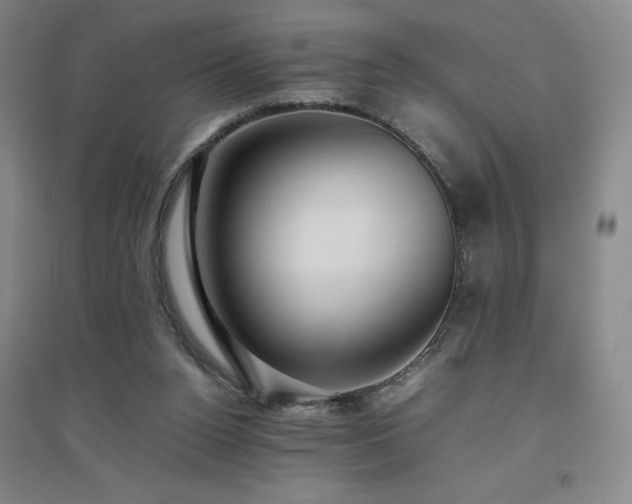 X0000094800160200711161506