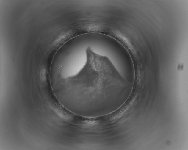X0000094800161200711161506