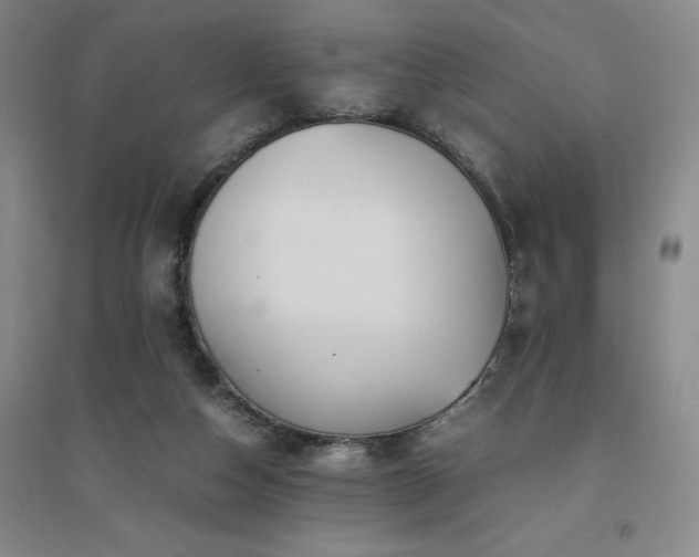 X0000094800162200711161506