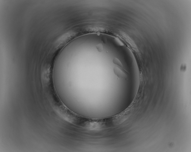 X0000094800163200711161506