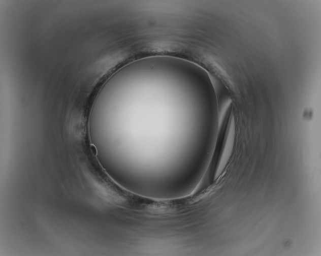 X0000094800164200711161506