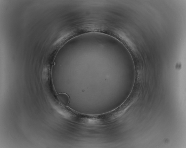X0000094800165200711161506
