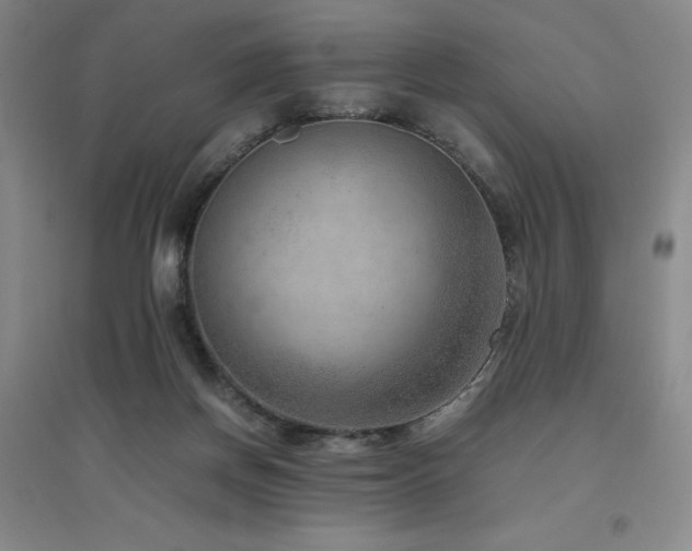 X0000094800166200711161506