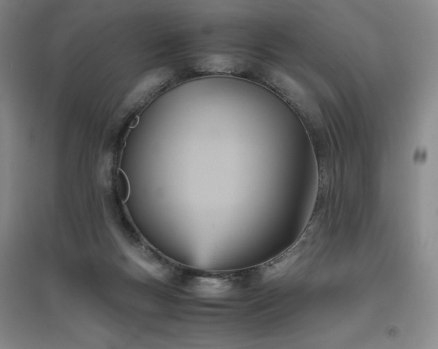 X0000094800167200711161506