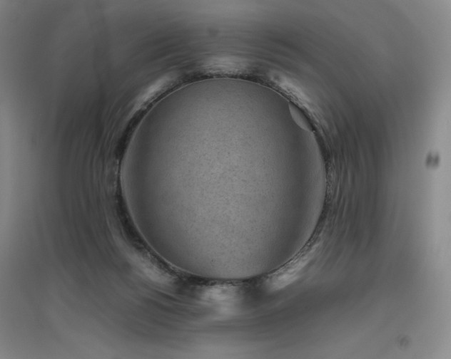 X0000094800168200711161506