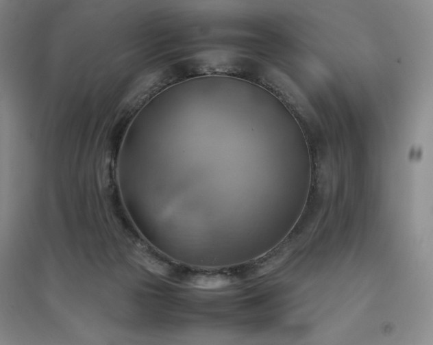 X0000094800169200711161506