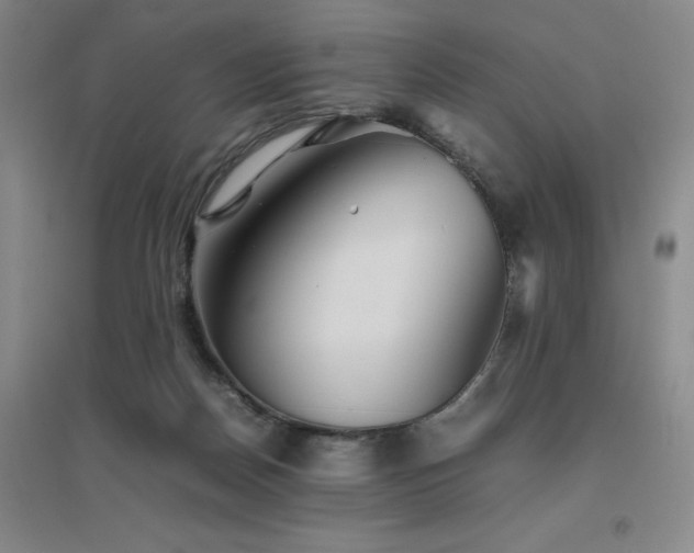 X0000094800170200711161506
