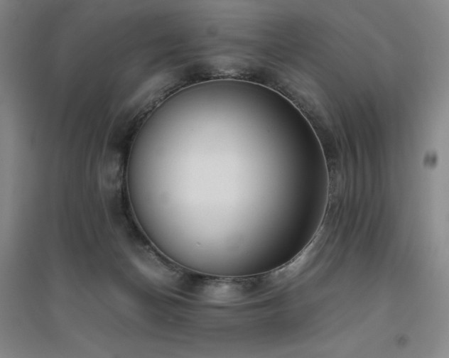 X0000094800174200711161506
