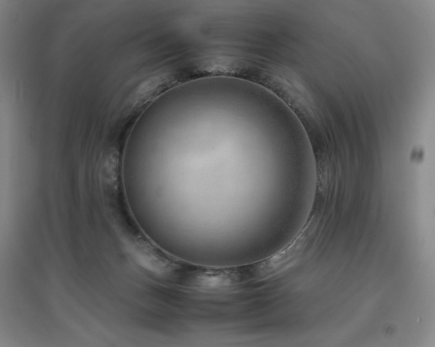 X0000094800175200711161506