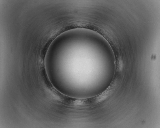 X0000094800176200711161506